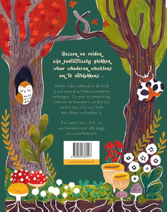 Een woud vol wonderen 5 jr+