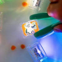 Glo Pals cubes Zoo 6 stks 3 jr+GP6PKZOOb