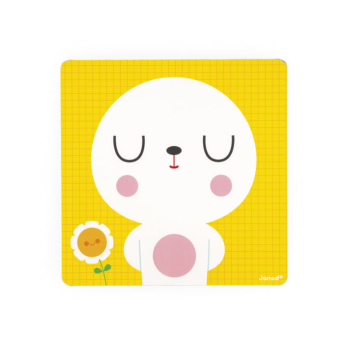 JANOD De emoties 2 jr+2