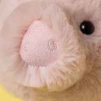 Jellycat knuffel Smudge Pig Original 670983165920 e