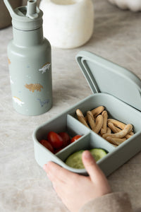 Kidzroom lunchbox dinosaurus 030-01065