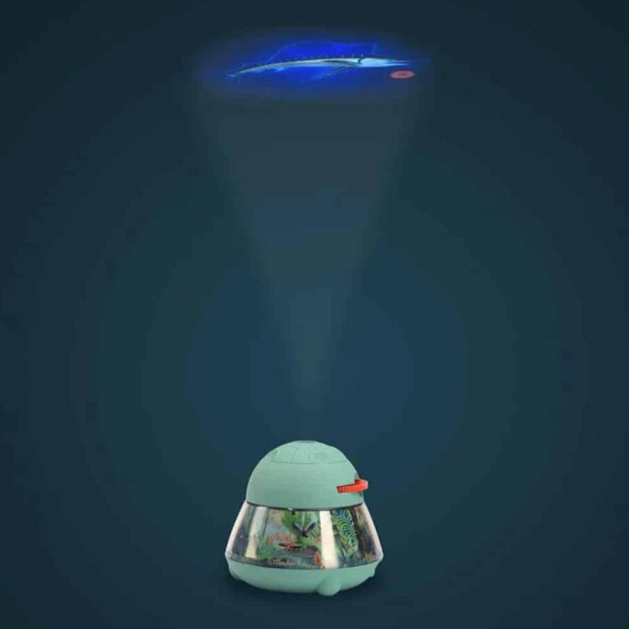 Moulin Roty projector Tout atour du monde 3 jr+