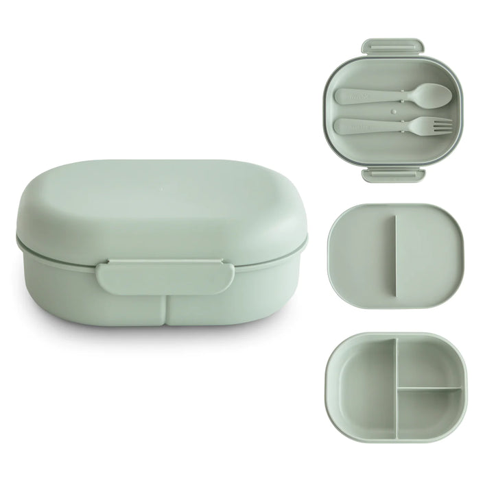 Mushie cups woodchuck