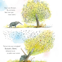 Onze boom 2 jr+VU22527f