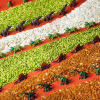 Petit Boum sensorische fles Spy Jurassic T-Rex  D