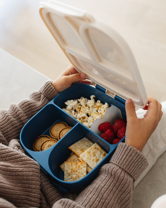 Petit Monkey bento lunchbox WhaleLB57B-Rb