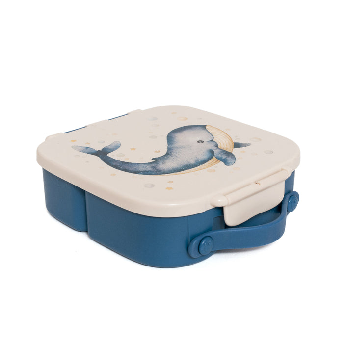 Petit Monkey bento lunchbox WhaleLB57B-Rd