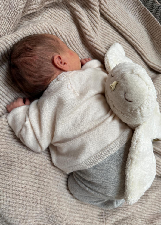 Senger Naturwelt sneeuwuil atmos