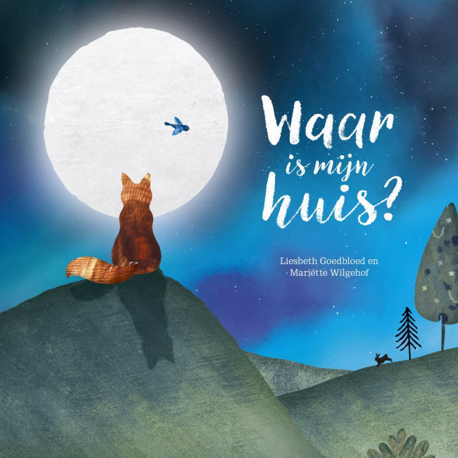 Waar is mijn huis? 3 jr+