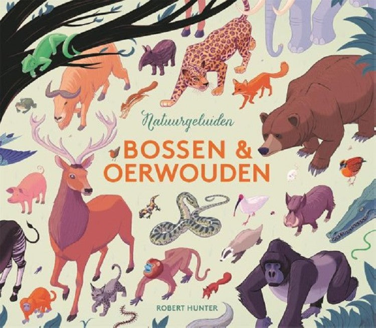 Forests and jungles - sound book 4 yrs+