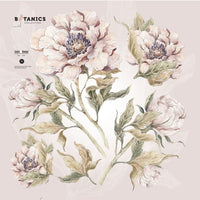 Dekornik wall sticker Peony L