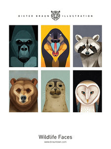 Dieter Braun postcard Raccoon