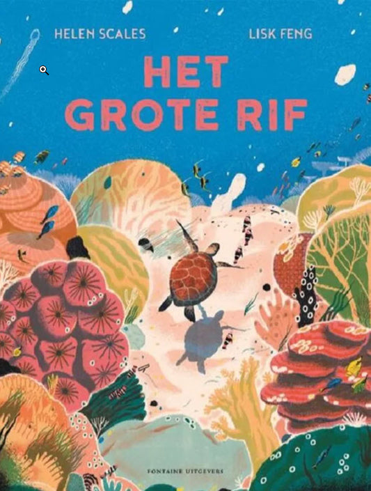 The Great Reef 6 yrs+