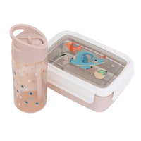 Petit Monkey lunch box bento dinosaur