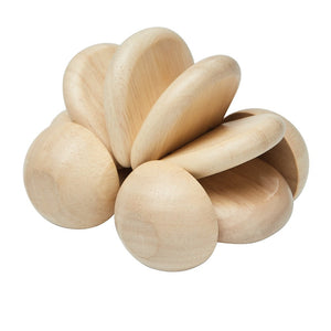 Plan Toys baby car natural 6 months +