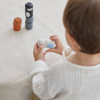 Plan Toys shape sorter 1 yr+