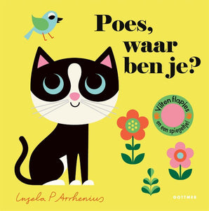 cat, where are you? 18 months +