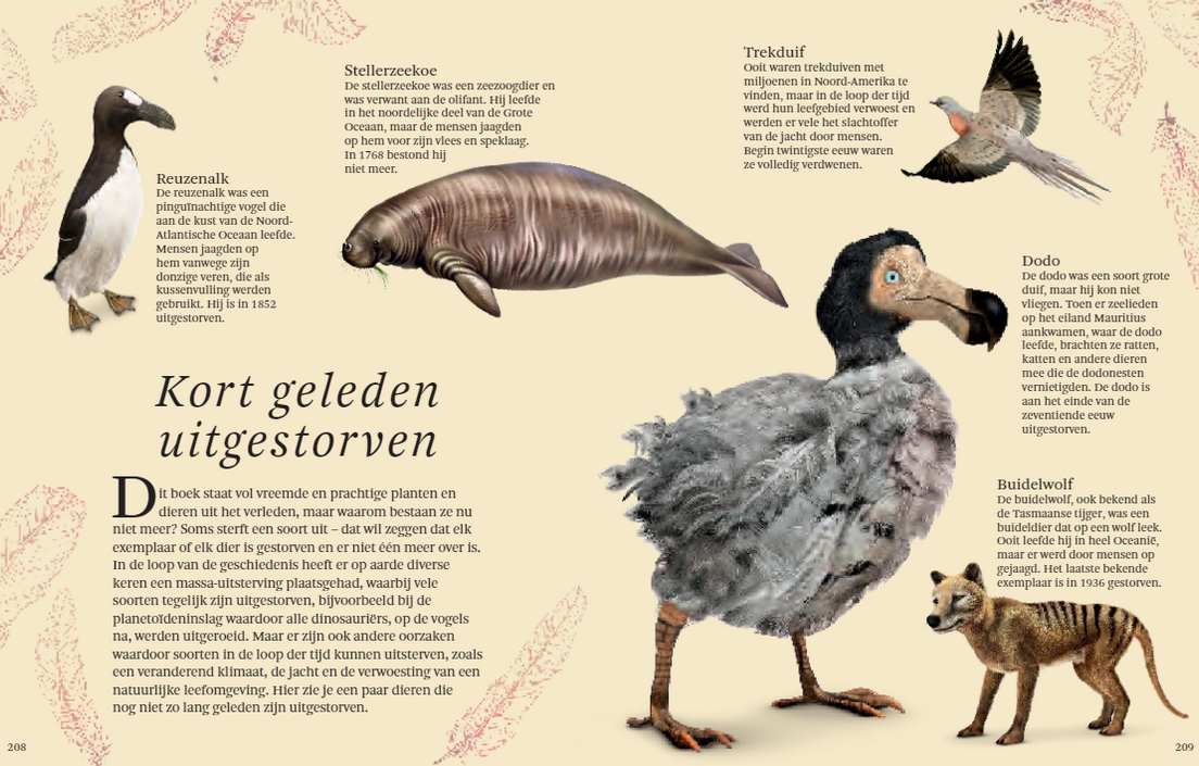 The thick book of all special dinosaurs 7 years +