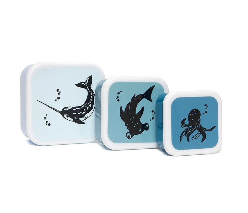 Petit Monkey drum set Sea animals 12 x 12 cm