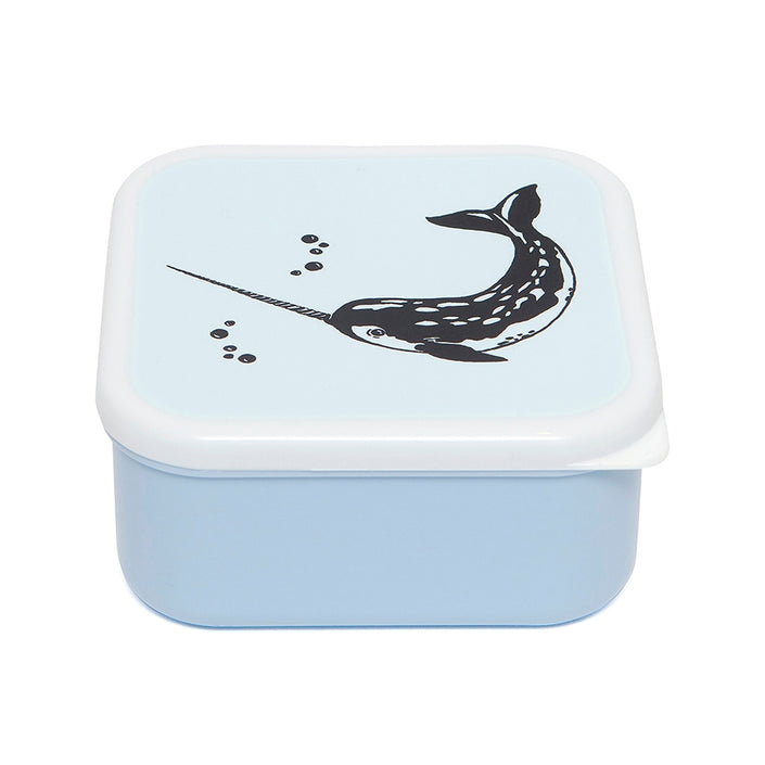 Petit Monkey drum set Sea animals 12 x 12 cm