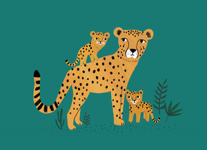 Petit Monkey postcard Cheetah and cubs