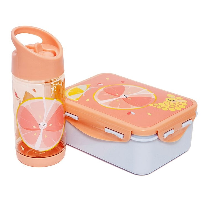 Petit Monkey lunch box Flies