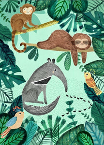 Petit Monkey postcard Anteater and sloth