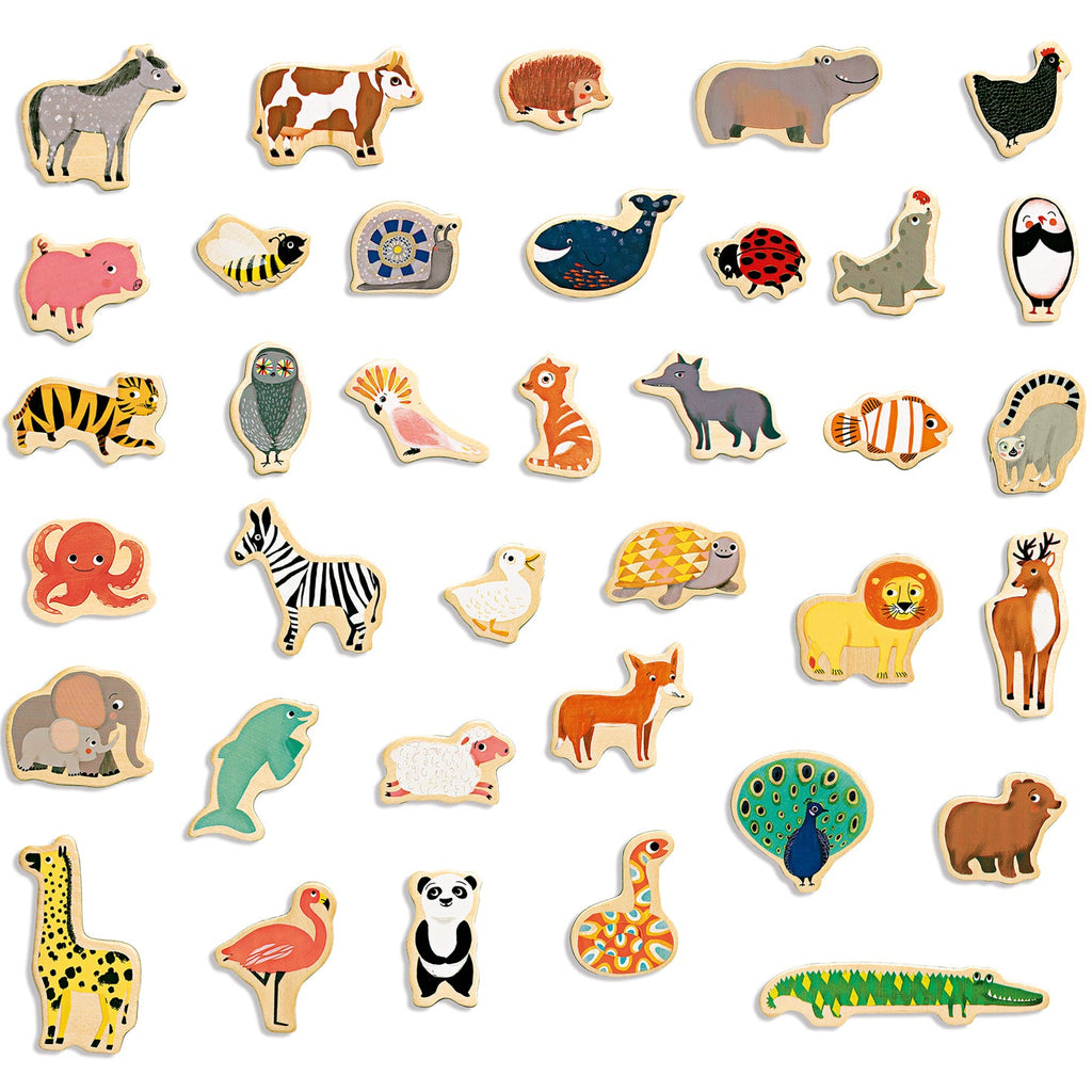 Buy DJECO magnets magnimo 2 yrs+