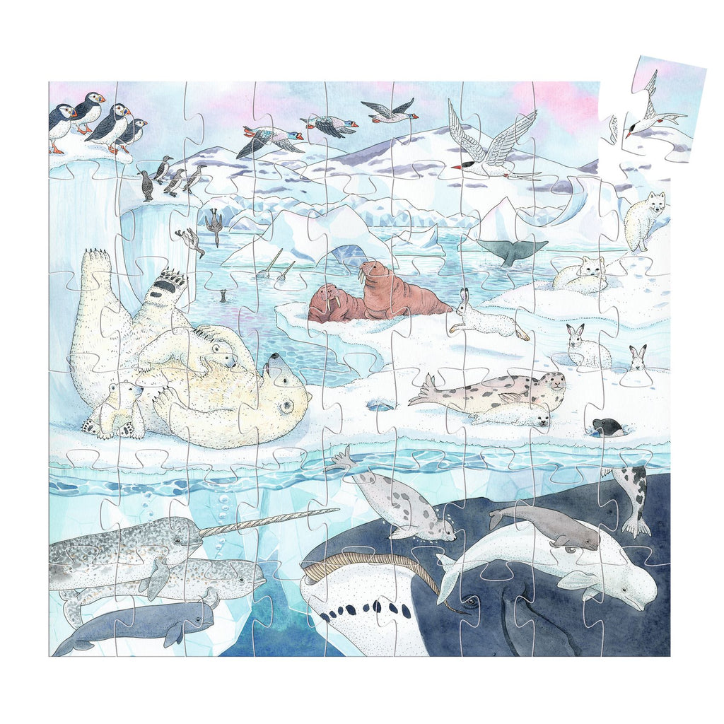 Buy DJECO puzzel poolwereld 5 jr / 54 stks