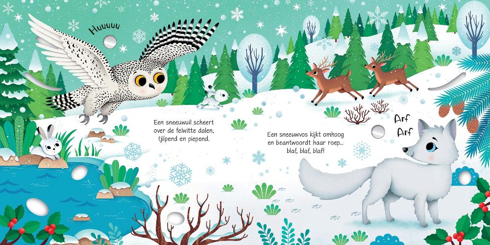 Dieren op de Noordpool - geluidenboek 3 jr+