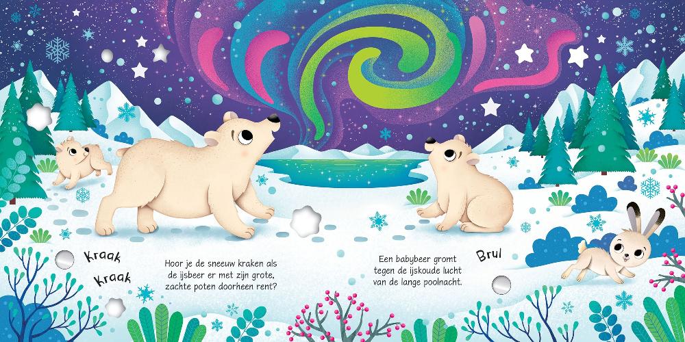 Dieren op de Noordpool - geluidenboek 3 jr+