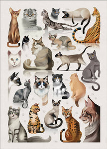 Dieter Braun poster cats 50 x 70 cm framed