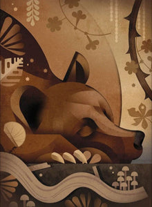 Dieter Braun poster sleeping bear 50 x 70 cm