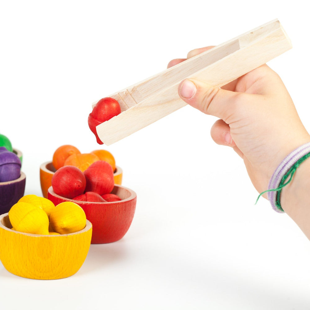 Grapat 6 bakjes met 36 eikels 8436580870085 e