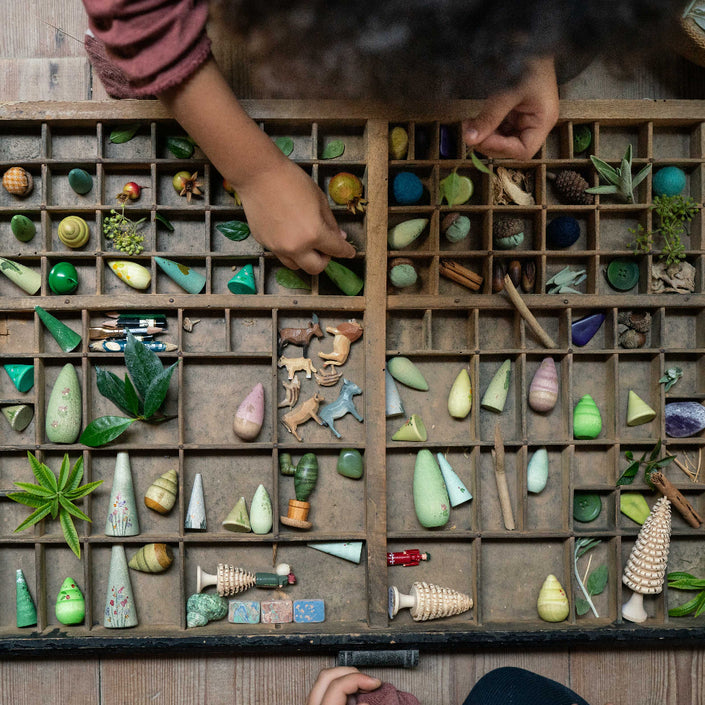 Grapat bomen 18 stks 8436580872423 c