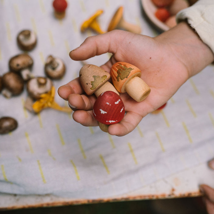 Grapat paddenstoelen 18 stks 8436580872430 b