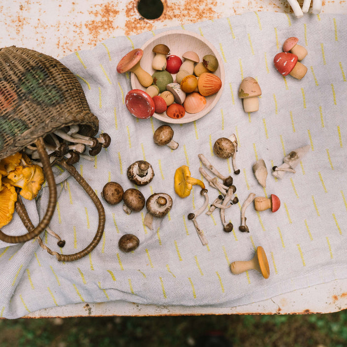 Grapat paddenstoelen 18 stks 8436580872430 d