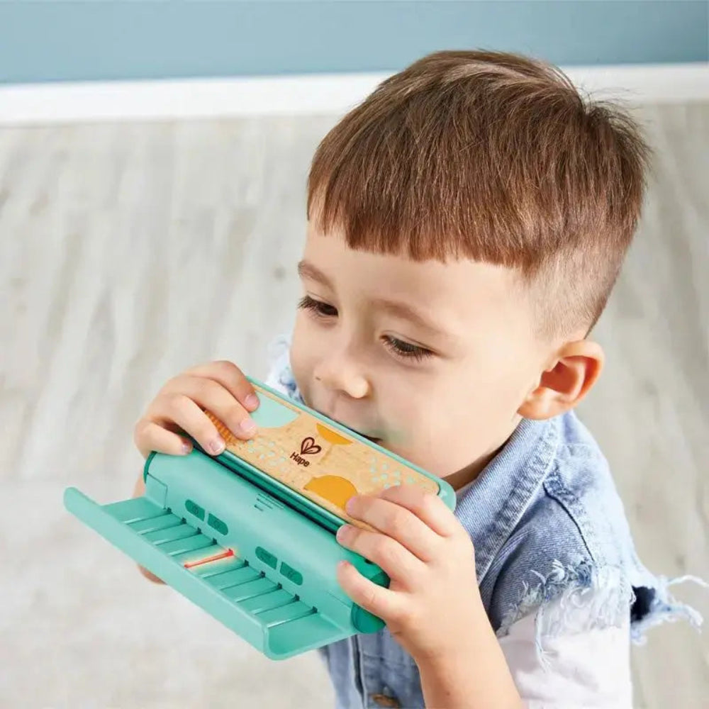 Buy Hape leer met licht mondharmonica 3 jr+