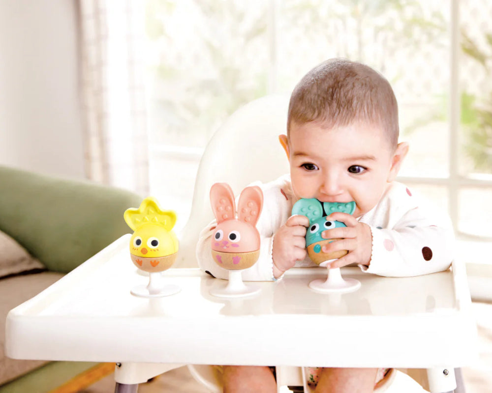 Hape bijtspeeltjes met rammelaar met zuignap 0 mnd+ E0123