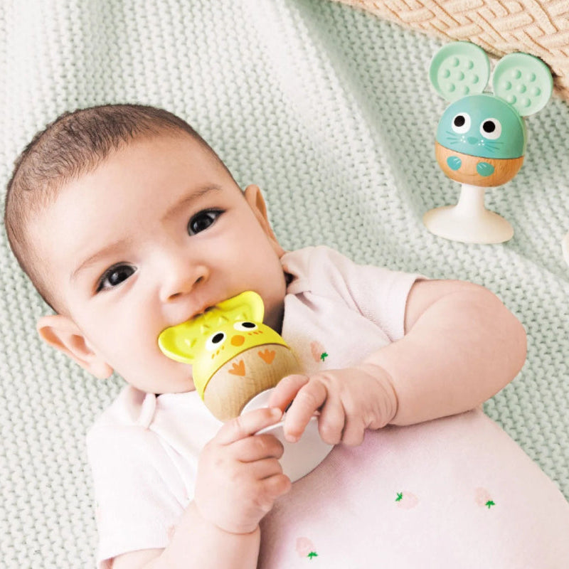 Hape bijtspeeltjes met rammelaar met zuignap 0 mnd+
