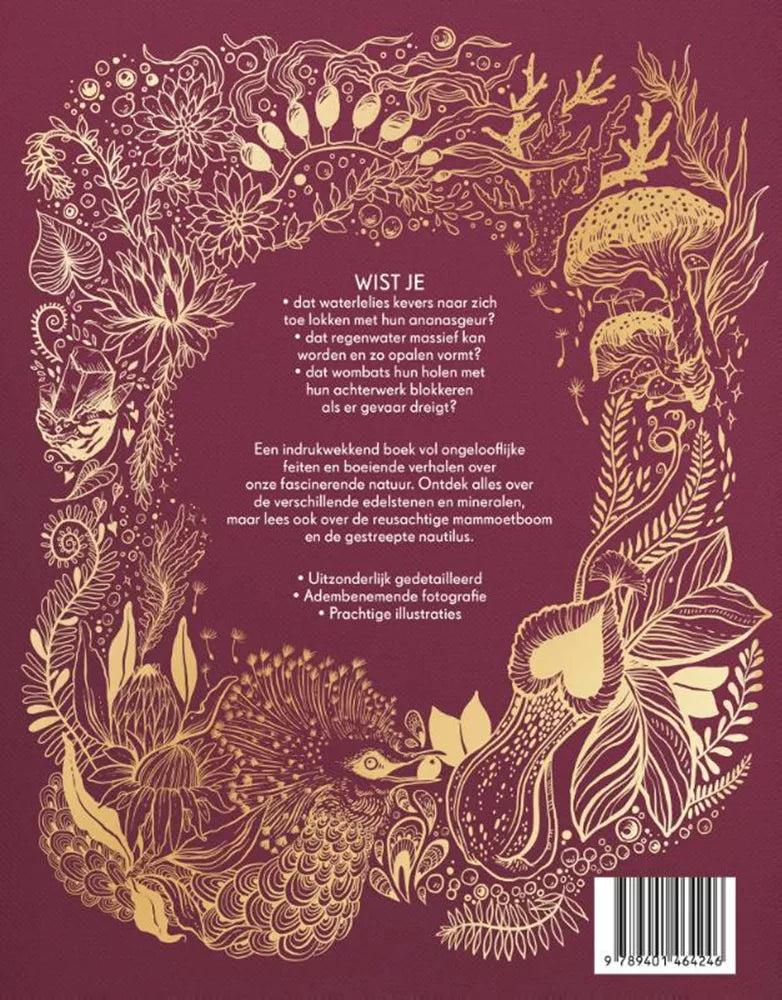 Buy Het dikke boek van onze bijzondere natuur 9 jr+