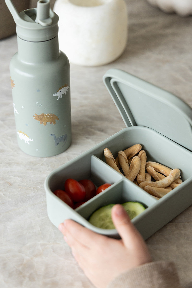 Buy Kidzroom lunchbox dinosaurus