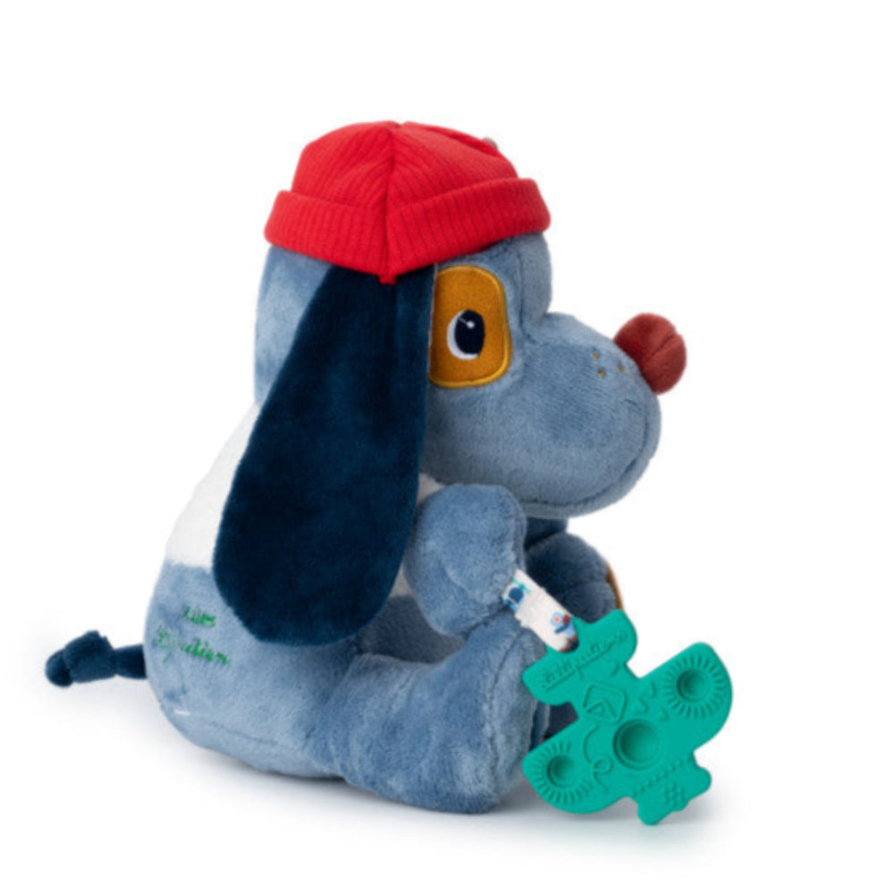 Buy Lilliputiens activiteitenhond Jules 9 mnd+