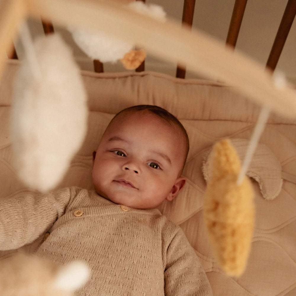 Little Dutch muziekmobiel Newborn Naturals 0 mnd+LD8400c
