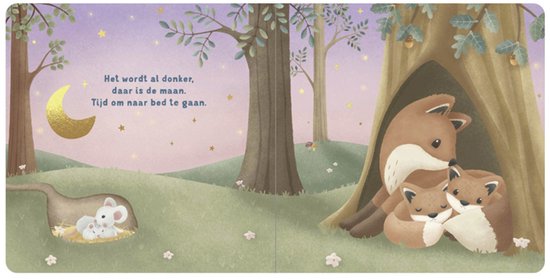 Buy Little Dutch welterusten kleintje voorleesboekje 1 jr+