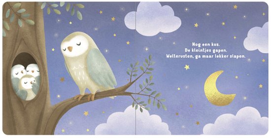 Little Dutch welterusten kleintje voorleesboekje 1 jr+ 9789056471750