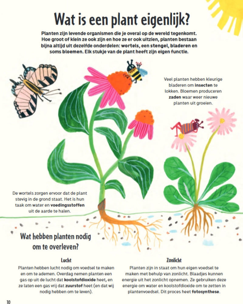 Buy Mijn eerste grote tuinboek 6 jr+