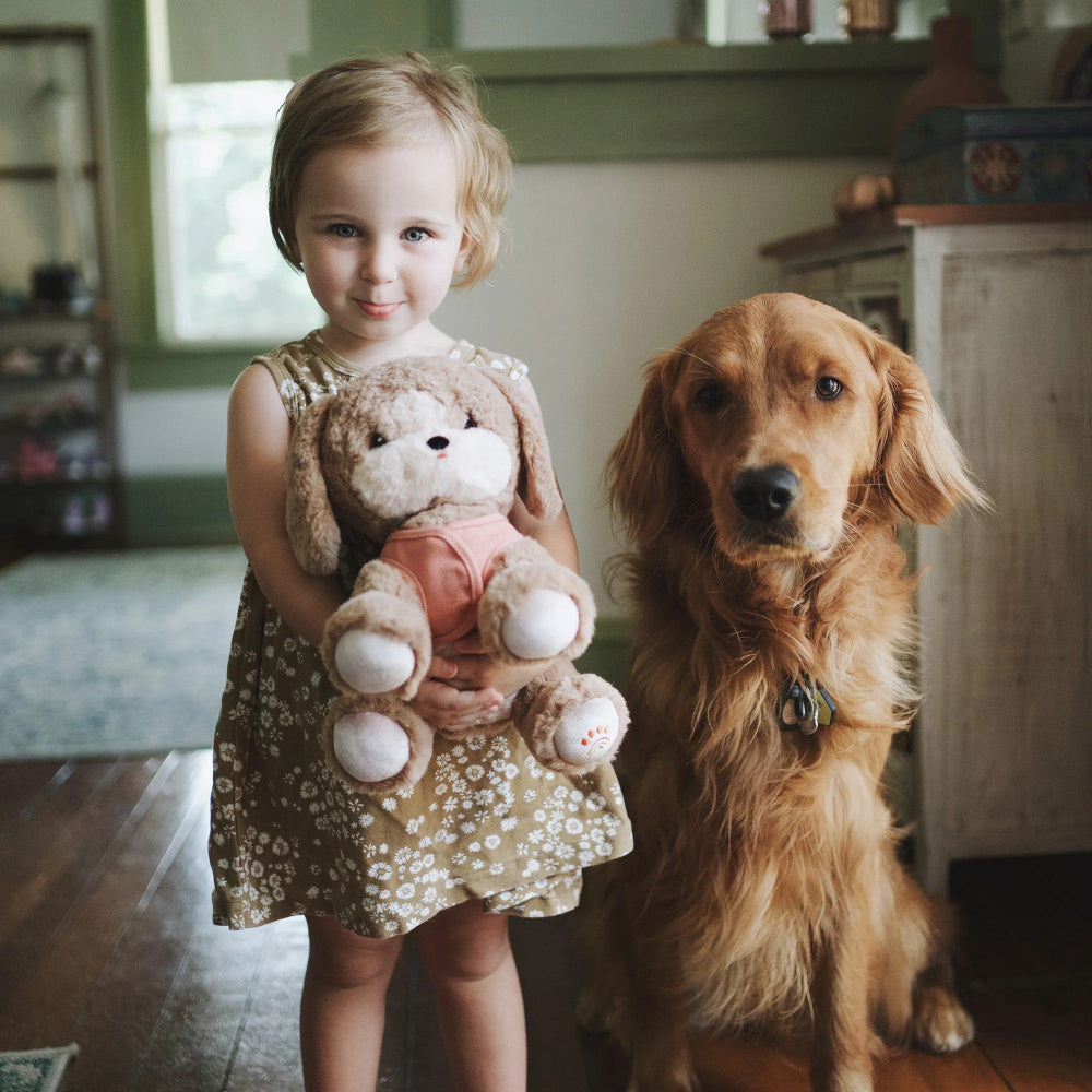 Buy Olli Ella Dinkums Dog Honey