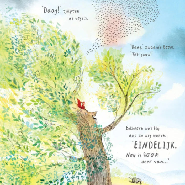 Onze boom 2 jr+VU22527e