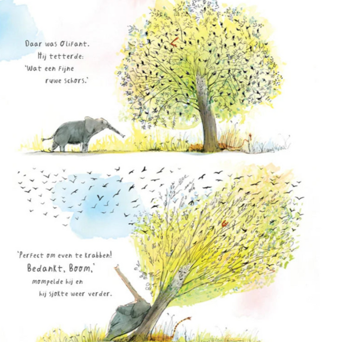 Onze boom 2 jr+VU22527f